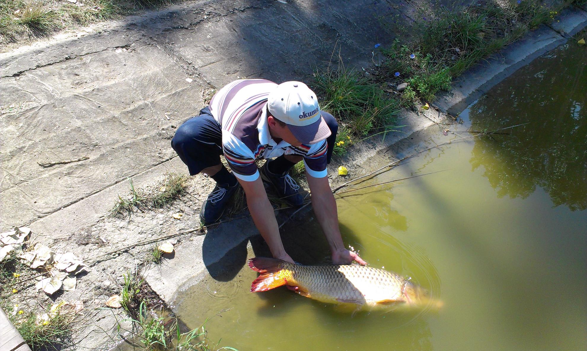 Pescuit - 10kg - 28.07.13 - Pleasa1